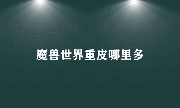 魔兽世界重皮哪里多