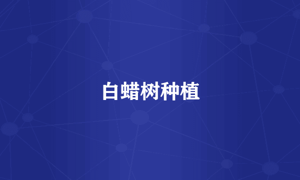 白蜡树种植
