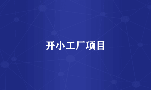 开小工厂项目