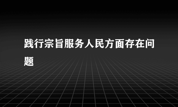 践行宗旨服务人民方面存在问题