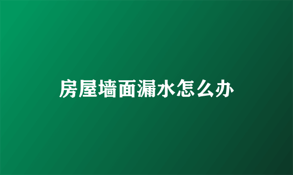 房屋墙面漏水怎么办
