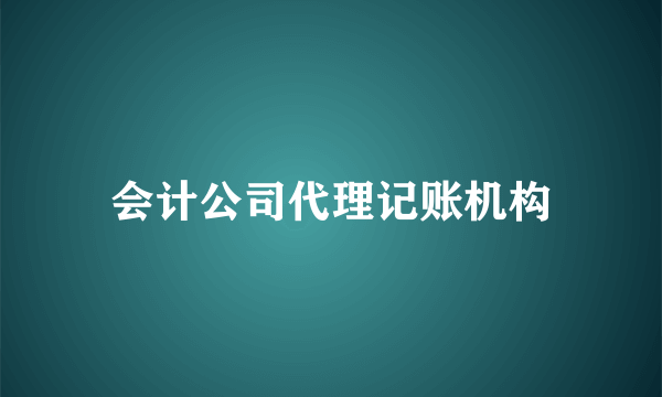 会计公司代理记账机构