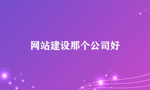 网站建设那个公司好