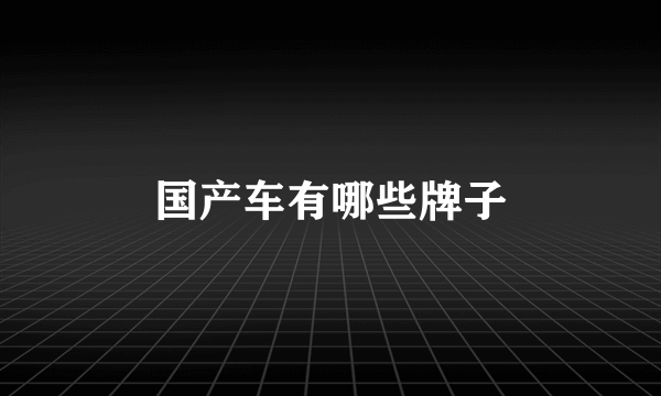 国产车有哪些牌子