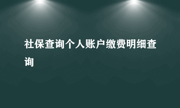 社保查询个人账户缴费明细查询