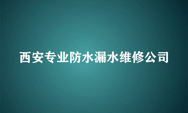 西安专业防水漏水维修公司
