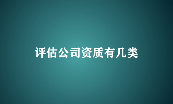 评估公司资质有几类