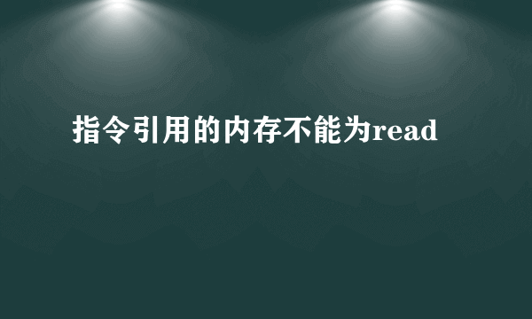 指令引用的内存不能为read