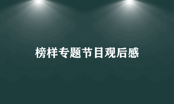 榜样专题节目观后感