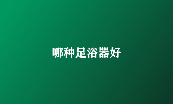 哪种足浴器好