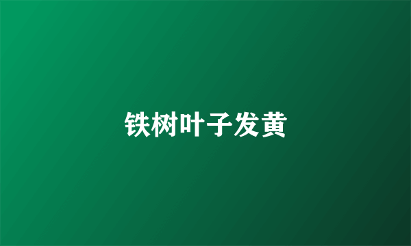 铁树叶子发黄