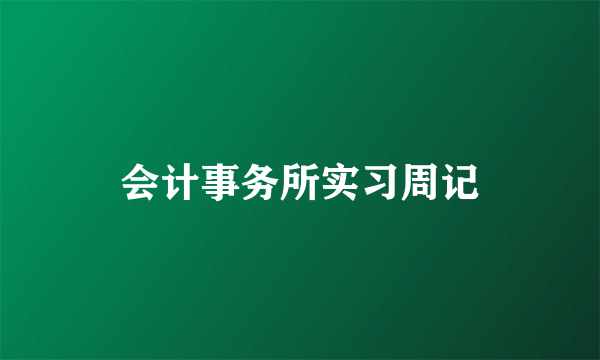 会计事务所实习周记