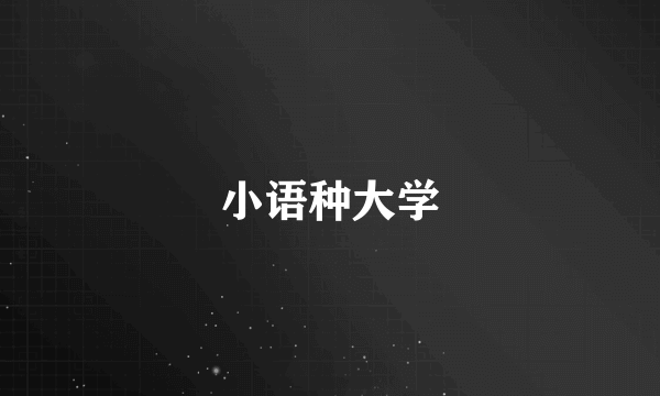 小语种大学