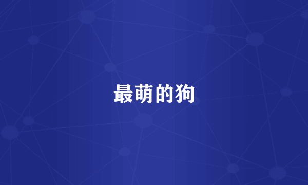 最萌的狗
