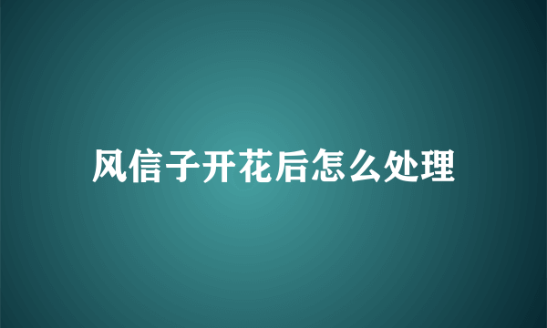 风信子开花后怎么处理