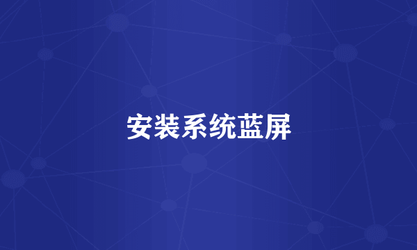 安装系统蓝屏