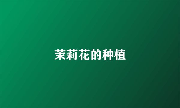 茉莉花的种植