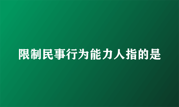 限制民事行为能力人指的是