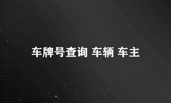 车牌号查询 车辆 车主