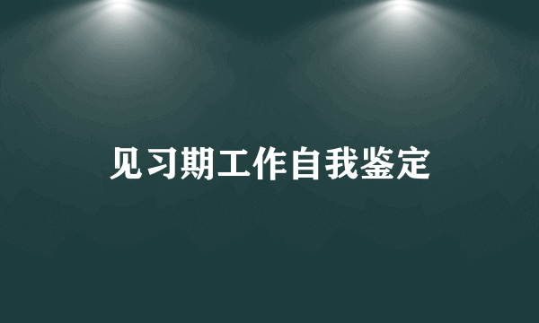 见习期工作自我鉴定