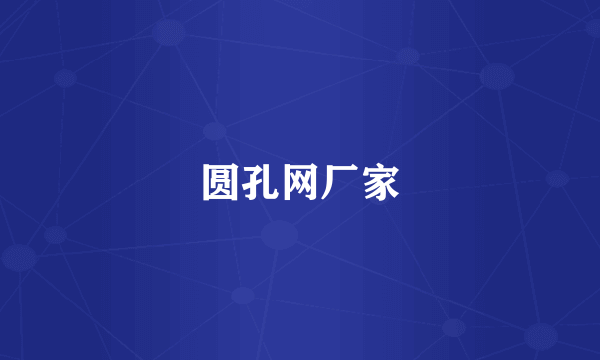 圆孔网厂家