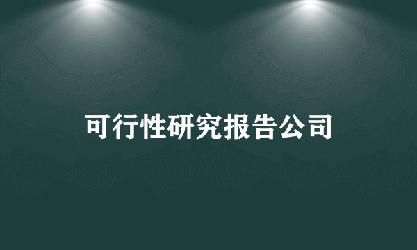 可行性研究报告公司
