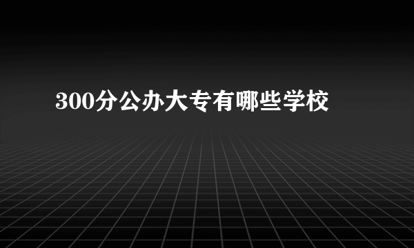 300分公办大专有哪些学校