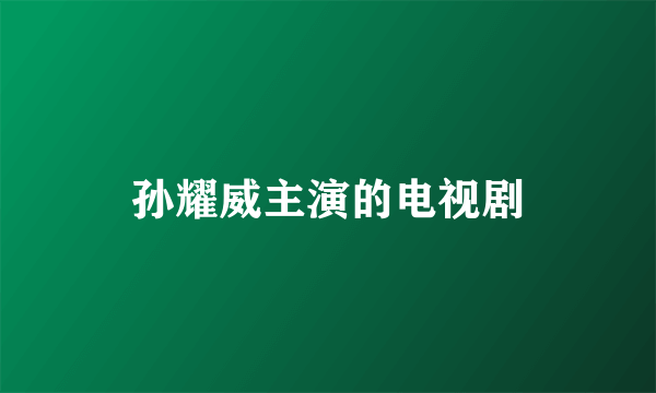 孙耀威主演的电视剧