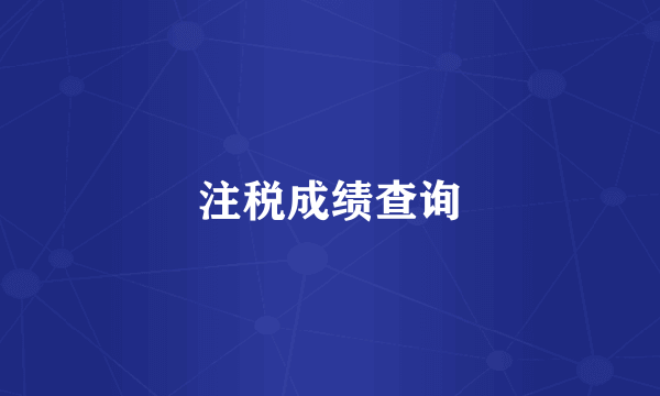 注税成绩查询
