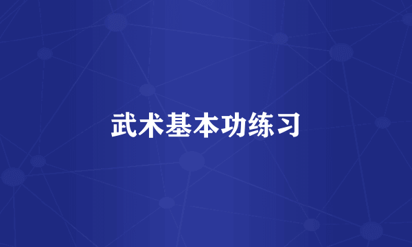 武术基本功练习