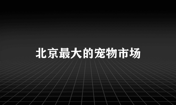 北京最大的宠物市场