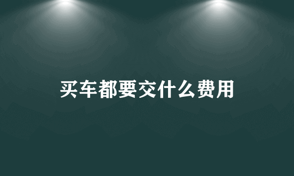 买车都要交什么费用