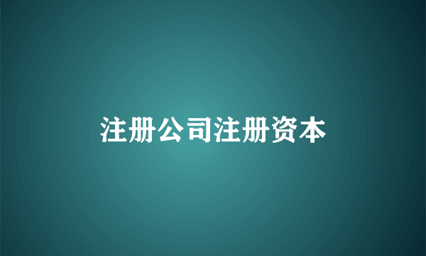 注册公司注册资本