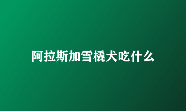 阿拉斯加雪橇犬吃什么