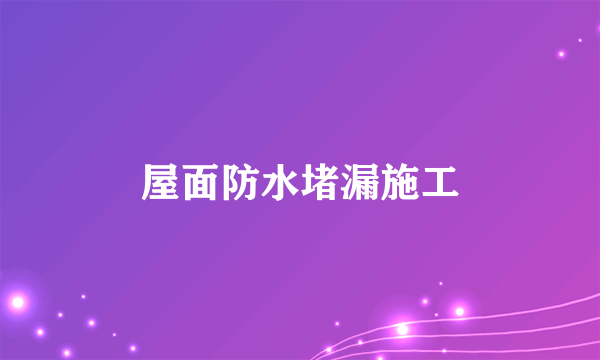 屋面防水堵漏施工
