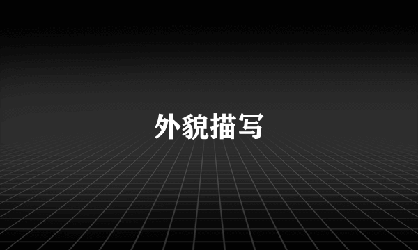 外貌描写