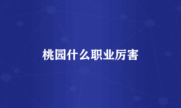 桃园什么职业厉害