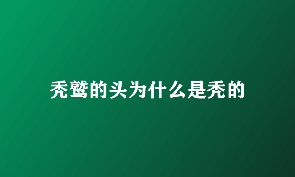秃鹫的头为什么是秃的