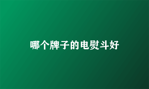 哪个牌子的电熨斗好