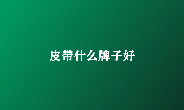 皮带什么牌子好