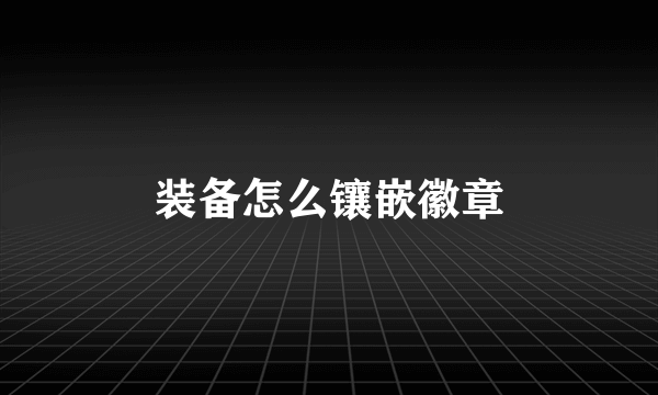 装备怎么镶嵌徽章