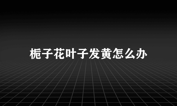 栀子花叶子发黄怎么办