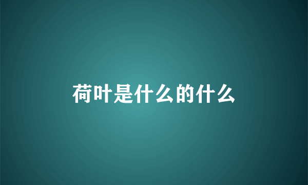 荷叶是什么的什么