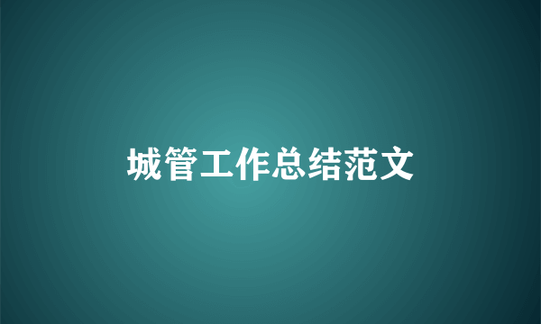 城管工作总结范文
