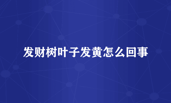 发财树叶子发黄怎么回事