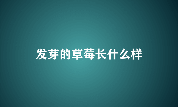 发芽的草莓长什么样