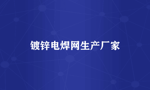 镀锌电焊网生产厂家