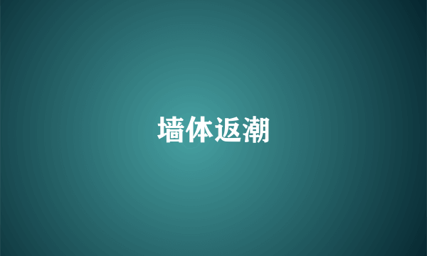 墙体返潮