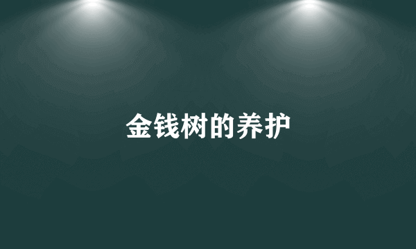 金钱树的养护