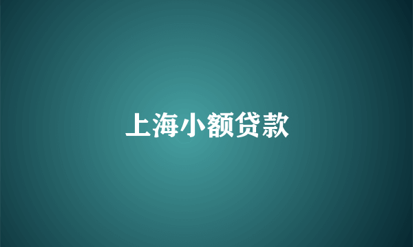 上海小额贷款